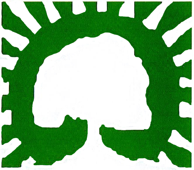 RCSAA Logo